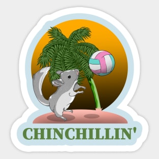 Chinchilla Chinchillin' Sticker